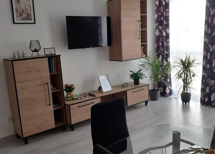 W Starym Mlynie Διαμέρισμα